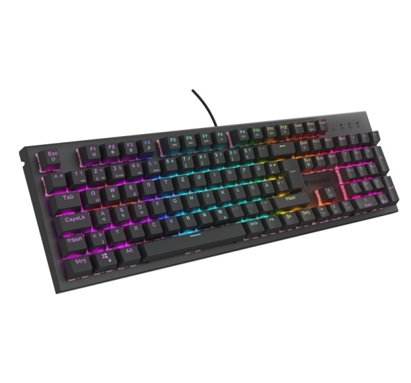 GENESIS NKG-2179 keyboard Gaming USB QWERTZ German Black