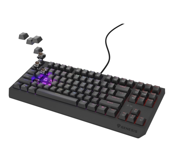 GENESIS Thor 230 TKL Outemu Brown