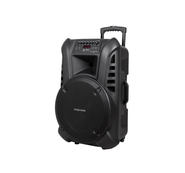 Active Speaker Cabinet (with 2 wireless microphones UHF, SD, Bluetooth, FM, USB) 60 Watt