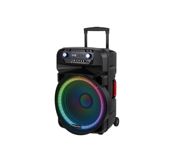 Active Speaker Cabinet (with 2 UHF, SD, Bluetooth, FM, USB, LED wireless microphones) 60 Watt