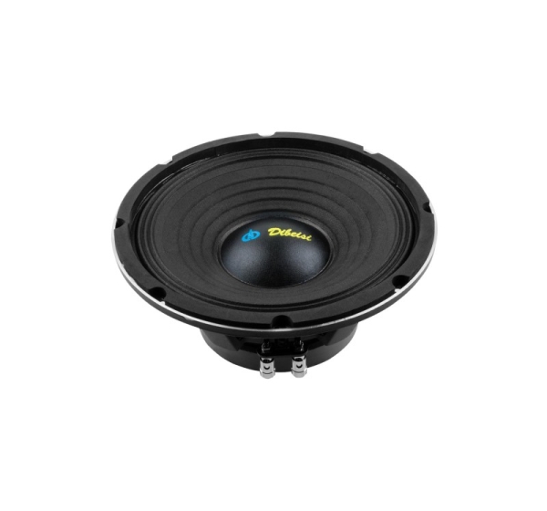 Dibeisi 10-inch Speaker DBS-PS1005-8