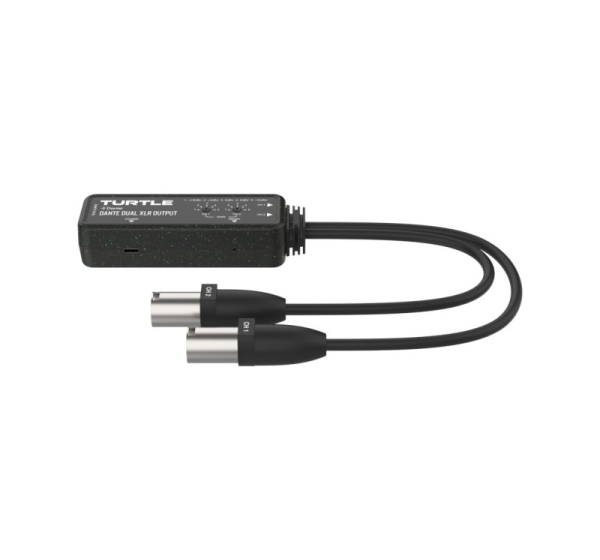 Turtle Dual XLR Output - two-channel Dante digital-to-analogue XLR adapter