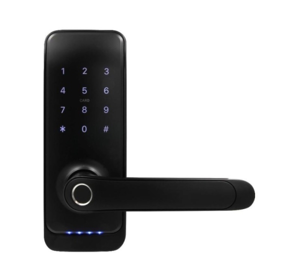 Handle with access controller EURA ELH-01H4 black