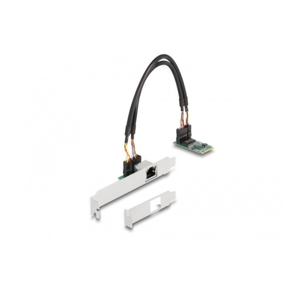 DeLOCK M.2 Key B+M 1 x RJ45 2.5 Gigabit LAN Network Card