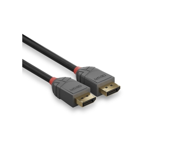 Lindy 10m DisplayPort 1.2 Cable, Anthra Line