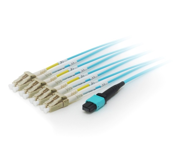 Equip MTP/MTP Trunk Fiber Optic Patch Cable, OM4, 5m