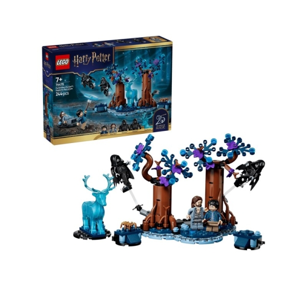 LEGO HARRY POTTER 76475 Forbidden Forest - Expecto Patronum