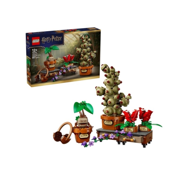 LEGO HARRY POTTER 76474 Hogwarts Herbology Plants