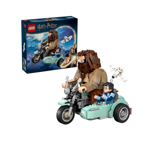 LEGO HARRY POTTER 76443