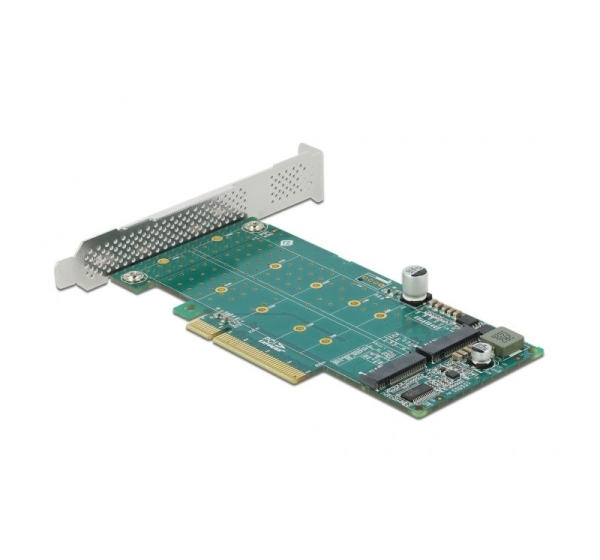 Delock PCIe x8 to 2 x NVMe M.2 Key M Card