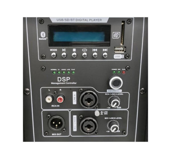 DNA SPX15 DSP Active Loudspeaker 15"