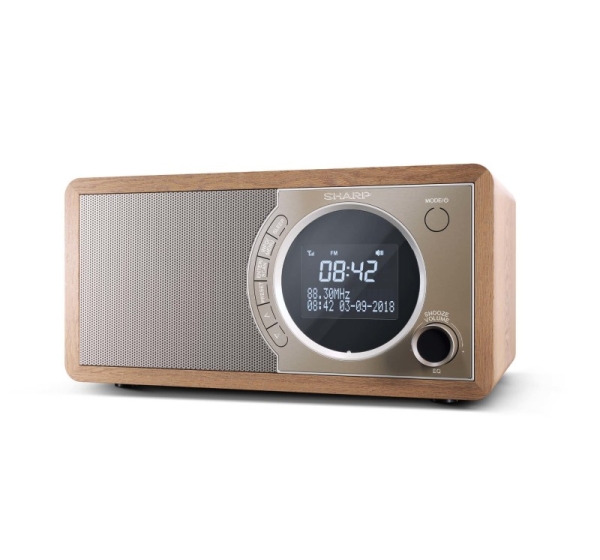 Sharp DR-450 Personal Digital Brown, Stainless steel