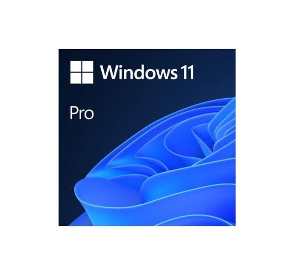 Microsoft Windows 11 Pro 1 license(s)