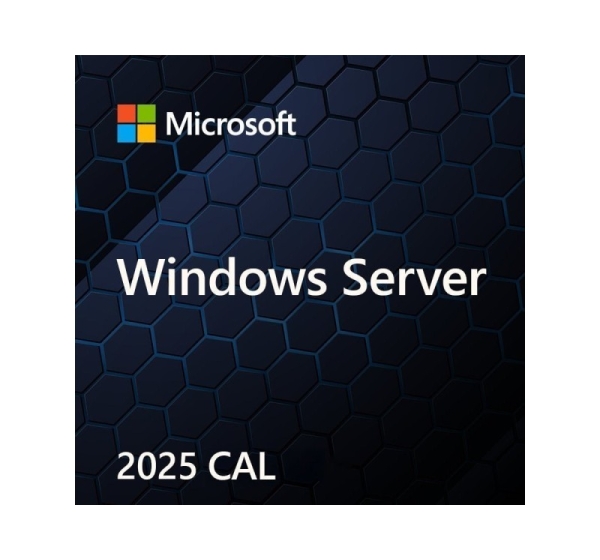 MS Windows Svr CAL 2025 PL 5Clt Device CAL OEM