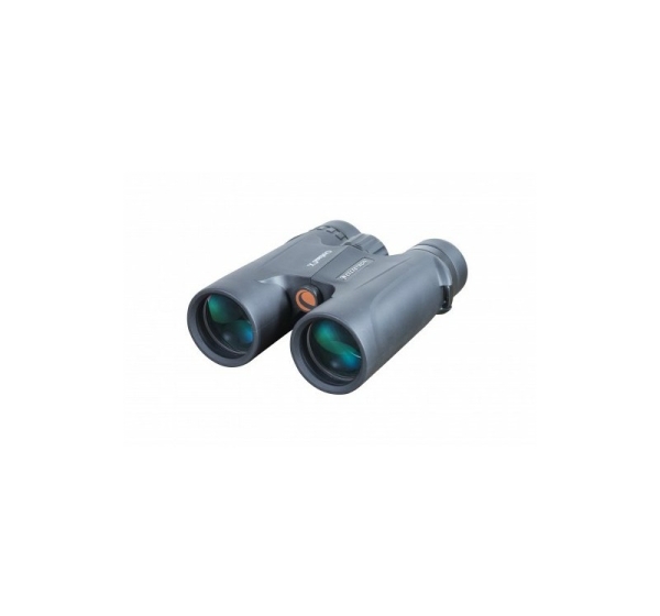 Celestron CB71347 binocular BaK-4 Black