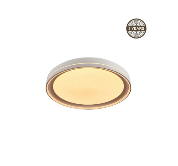 Ceiling Lamp LED B2361-1L-R 49CM 45W
