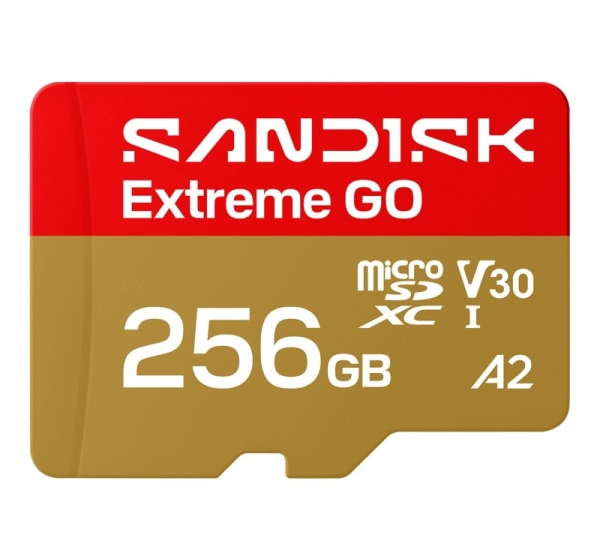 SanDisk Extreme GO 256 GB MicroSDXC UHS-I