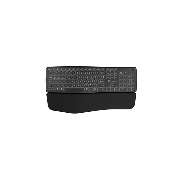 NATEC PORIFERA keyboard Home/Office Bluetooth QWERTY US International Black