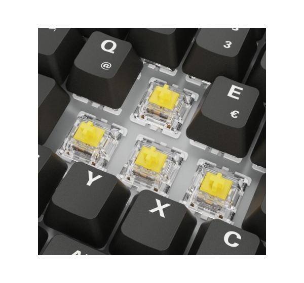 Sharkoon SGK50 S3 keyboard Gaming USB QWERTZ German Black