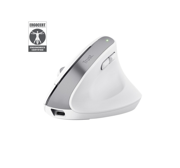 Trust Bayo+ mouse Office Right-hand RF Wireless + Bluetooth Optical 2400 DPI