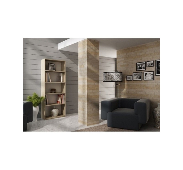 Topeshop R60 SONOMA office bookcase
