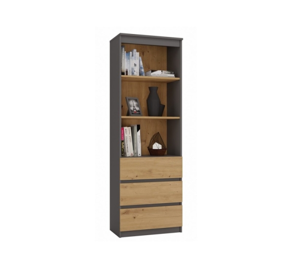 Topeshop RS-60 ANT/ART KPL office bookcase