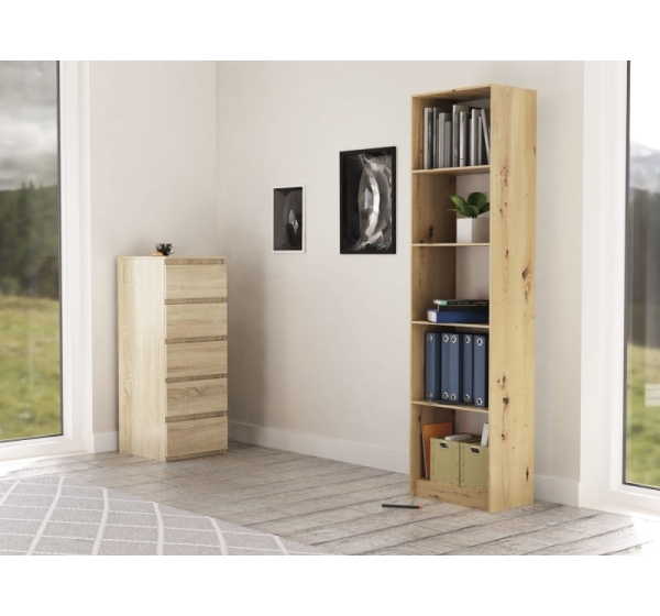 Topeshop R50 ARTISAN office bookcase