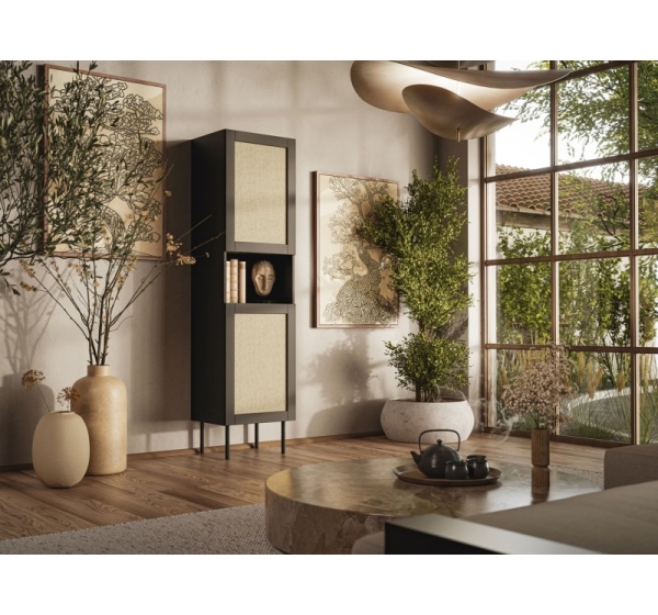Cabinet JUTA 50x39.5x190 black + linol calabria
