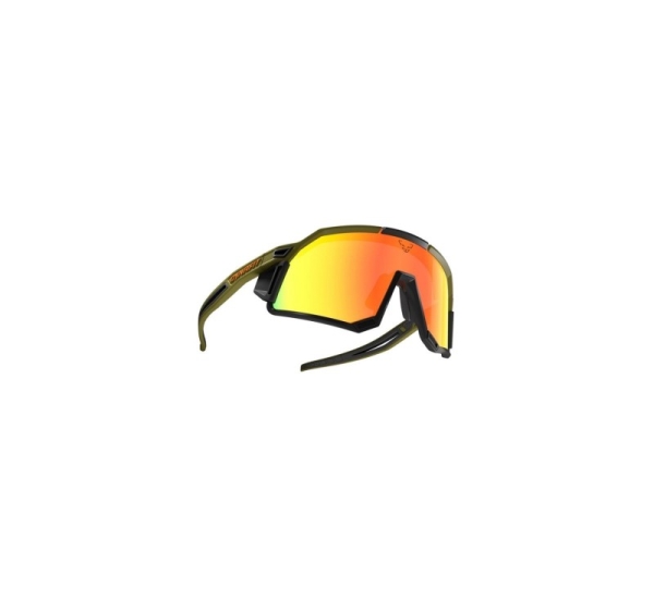 DYNAFIT glasses sky evo-winter moss-dawn
