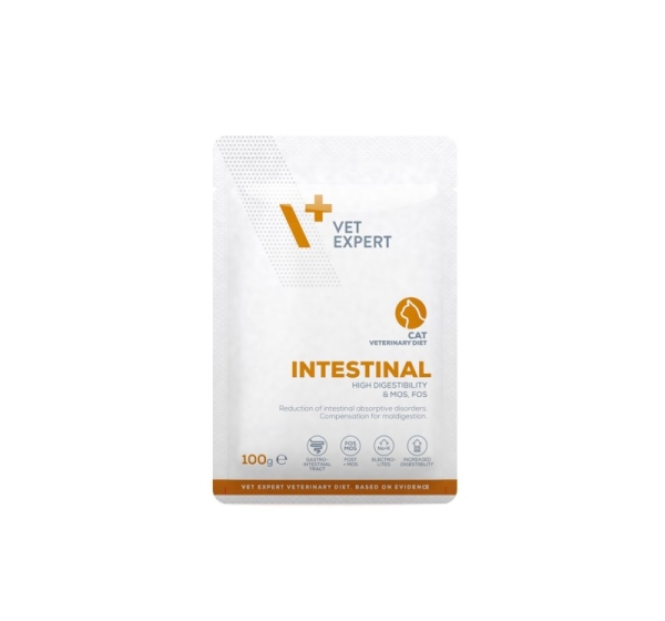 VETEXPERT Veterinary Diet Intestinal Cat - wet food for cats - 100g