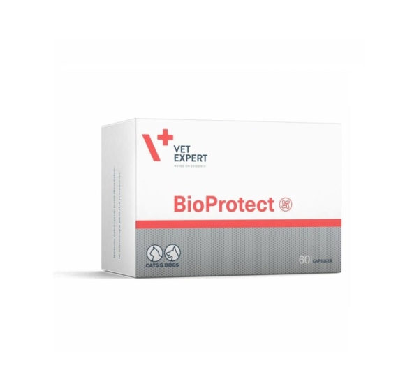 VETEXPERT Bioprotect - supplements for dogs and cats - 60 tablets