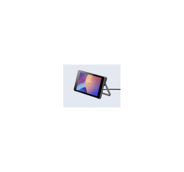 POS ACC DISPLAY 5" SECONDARY/TF2-41 IMIN