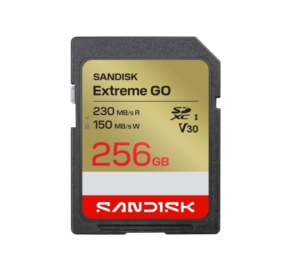 MEMORY SDXC 256GB UHS-I/SDSDXGN-256G-GNCIN SANDISK
