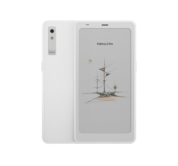 E-Reader ONYX BOOX Palma 2 Pro 6.13"