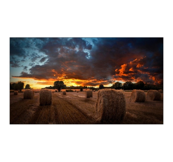 DISPLAY LCD 46" VM46B/LH46VMBUBGBXEN SAMSUNG
