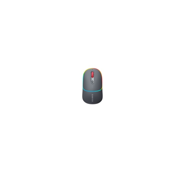 CANYON mouse MW-22 2in1 BT/ Wireless Dark Grey