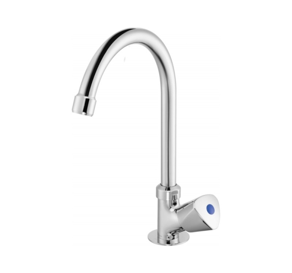 Kitchen faucet for cold or mixed water