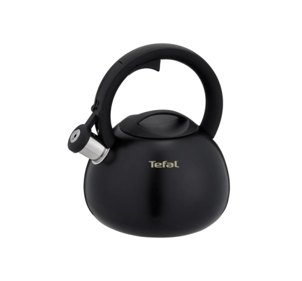 Non-Electric Kettle TEFAL N4180410, Black, Matte