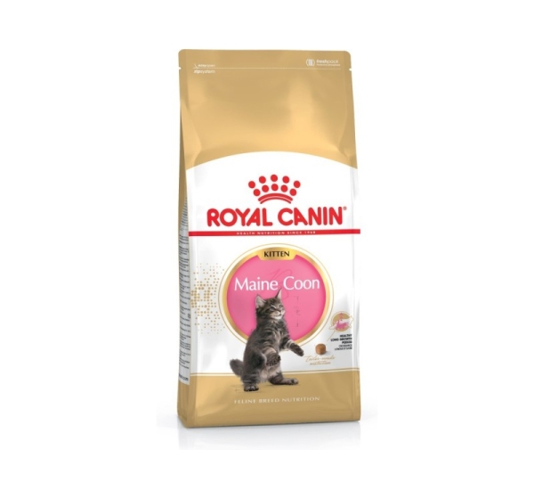 ROYAL CANIN Maine Coon Kitten- dry cat food - 4 kg