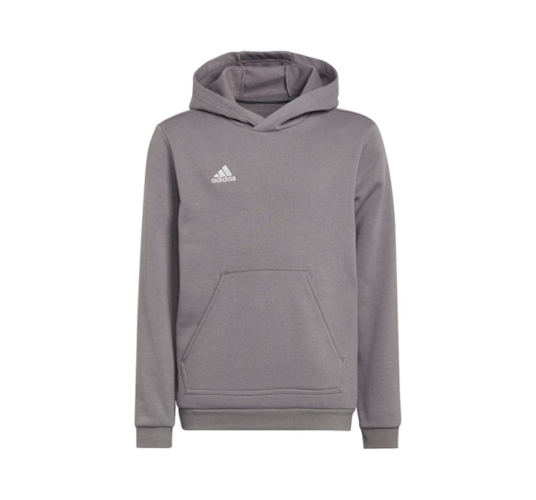 Sweatshirt for kids adidas Entrada 22 Hoody gray H57515 152cm