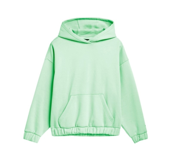 Women's sweatshirt 4F light green 4FSS23TSWSF255 42S L