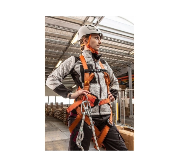 Belay kit with waist belt and shock absorber