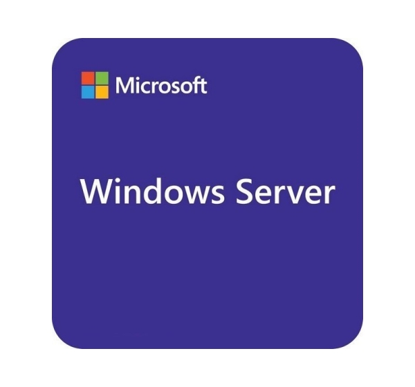 Microsoft Windows Server 2025 Standard 1 license(s)