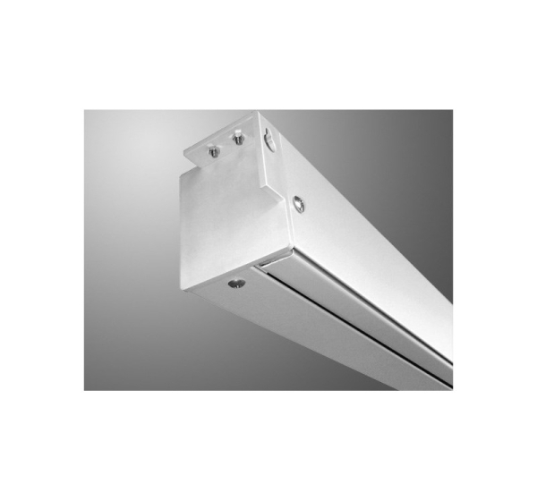 Avtek Business Electric Screen 300P