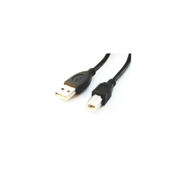 Cablexpert | CCP-USB2-AMBM-6 | USB-A to USB-B USB A | USB B