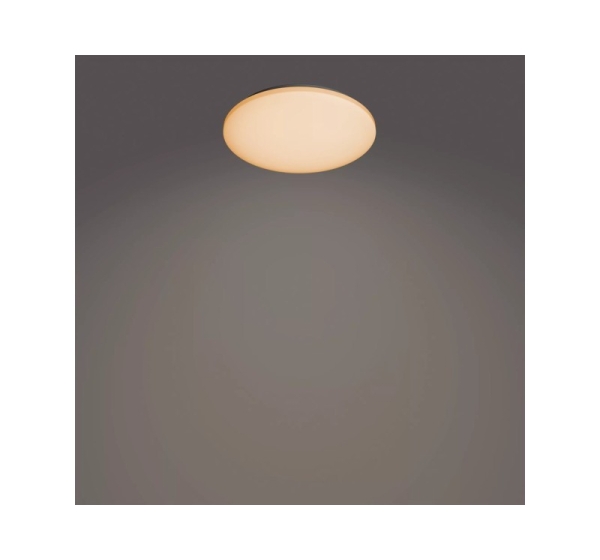 Philips Functional Izso Ceiling Light 40 W