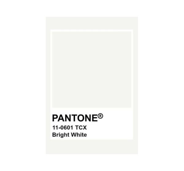 BLANKET COT/SATEEN-COTTON 300GM2 160X200