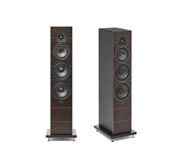 Lumina V — Color - Wenge