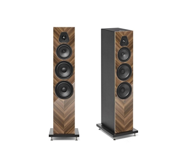 Lumina V Amator — Color - Walnut
