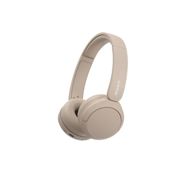 Sony Wireless Headphones WH-CH520 Wireless